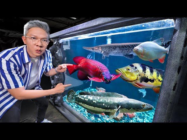 MAKIN GILA!! KOLEKSI SULTAN IKAN JAMM VLOG 2023!!