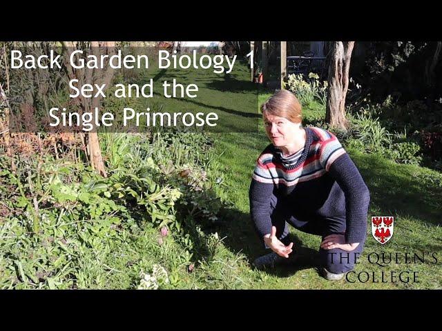 Sex and the Single Primrose | Back Garden Biology 1 with Dr Lindsay Turnbull