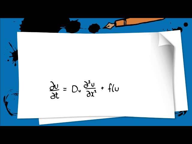 2. Introduction to Reaction-Diffusion equations