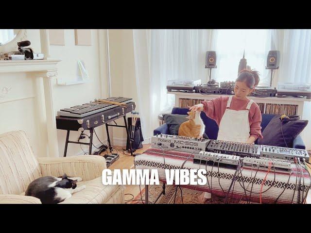 Gamma Vibes - Chill Acid Electronic Jam with my cats and favorite gear!