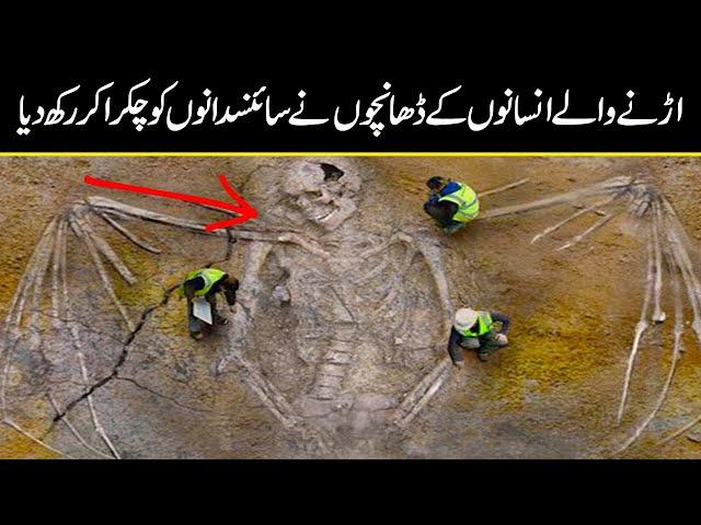 most amazing discoveries scientist still can't explained | Urdu Cover