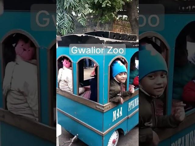 Gwalior Zoo | Kids Train | Digital Gwalior News