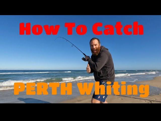 HOW to catch WHITING on PERTH beaches