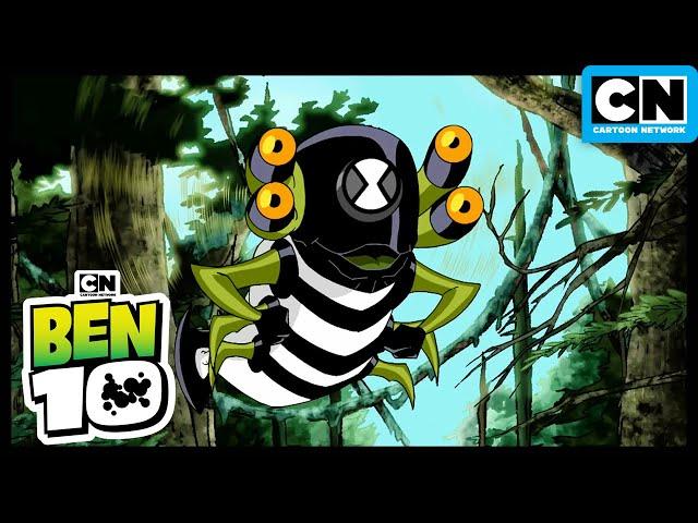 The Weirdest Classic Aliens! (Compilations) | Ben 10 Classic | Cartoon Network