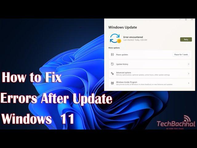 How to Fix Windows 11 Errors after Update