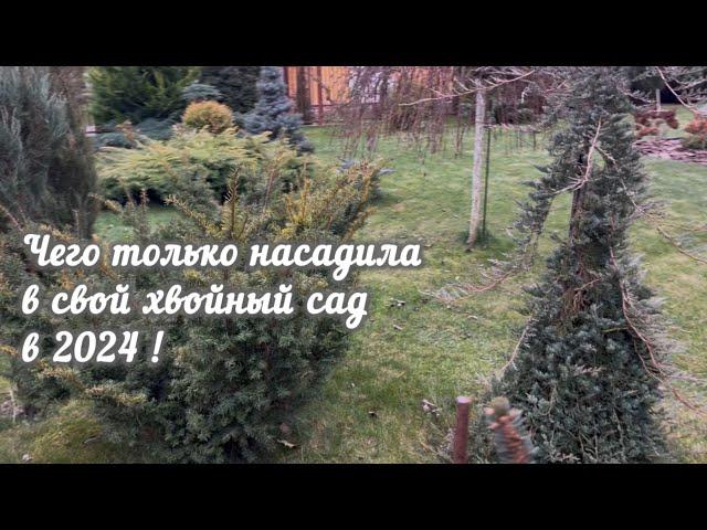 Итоги 2024 ! Прогулка по саду. Такого снегопада не было давно!