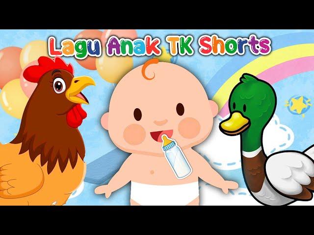 KUMPULAN LAGU ANAK POPULER SUARA BINATANG, CILUKBA, CICAK DAN LAINNYA versi shorts