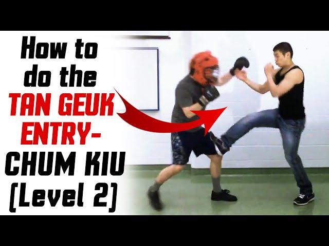 DANGEROUS Wing Chun Techniques - How to do the Tan Geuk Entry - Chum Kiu (Level 2)