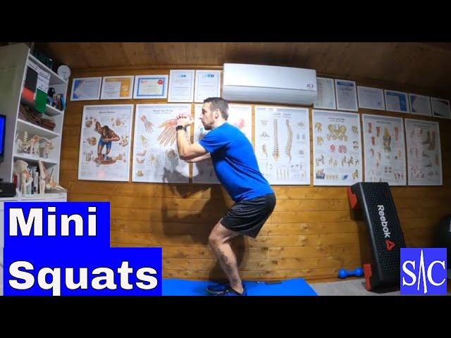 Mini Squats - Stage 1 PFPS