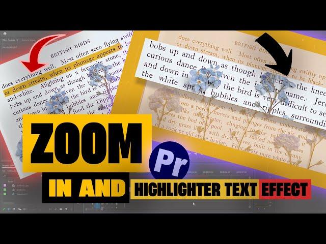 How to Text Highlight and Text Zoom in Premiere Pro