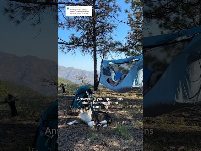 Hammock tent camping with a dog?? Answering your questions about the Haven Hammock Tent #campinggear