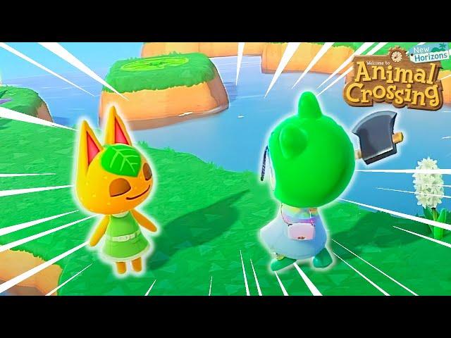 my daily Animal Crossing routine (parody)