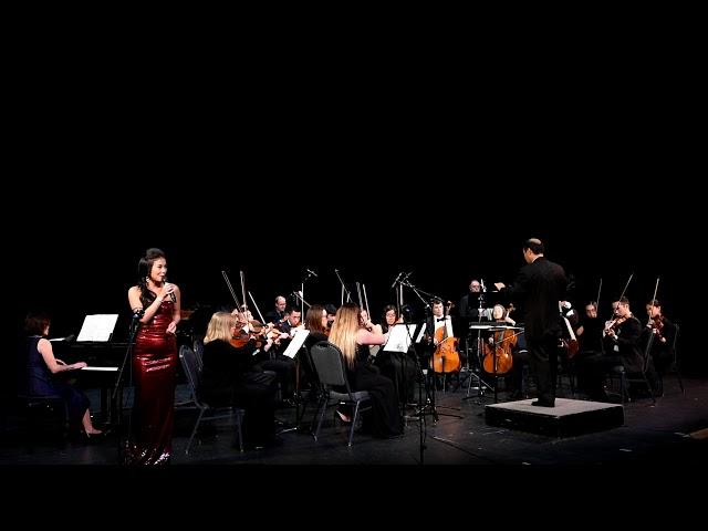 18. Les Toreadors, Habanera-Bizet | VAPSO & Teresa Mai