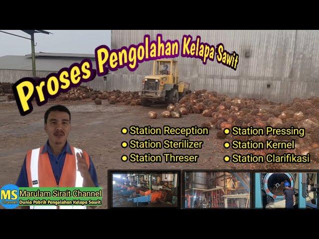 Proses Pengolahan Kelapa Sawit