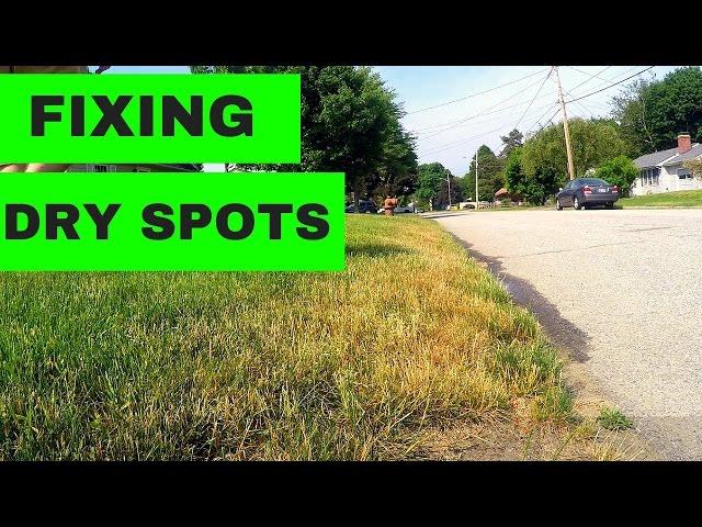 How to Fix Dry Spots in your Lawn
