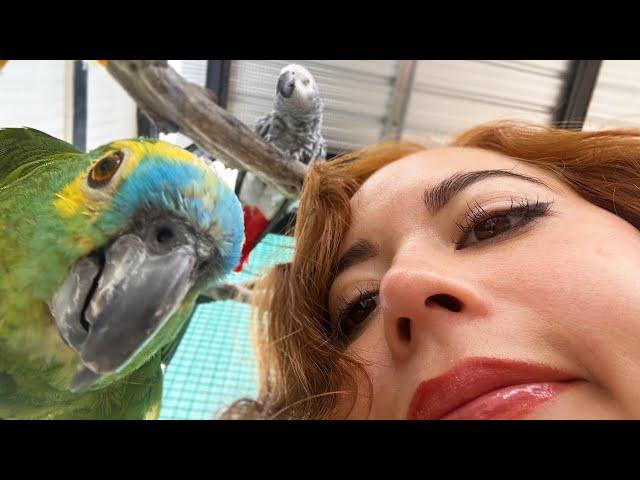 a tour of my animal sanctuary