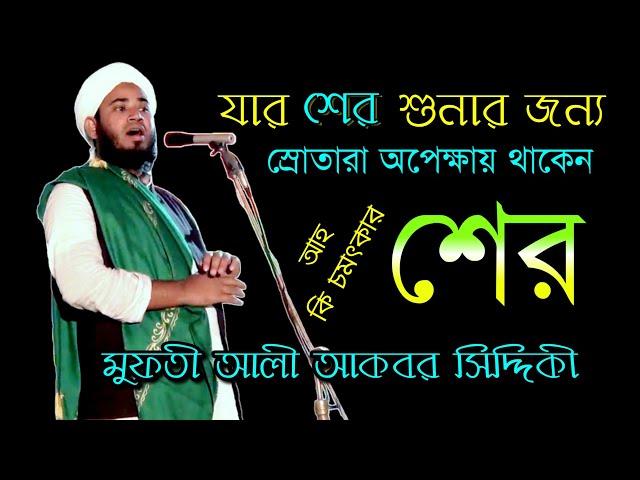 এগুলা আমার নিজের চয়ন করা শের | মুফতী আলী আকবর সিদ্দিকী শের | Ali Akobor Siddiki