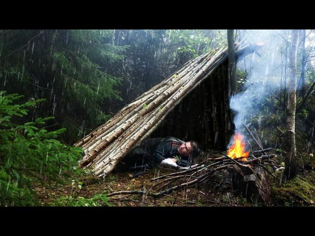 ️Camping in RELAXING RAIN: A Cozy Shelter in Heavy Rain (ASMR Rainy Forest)