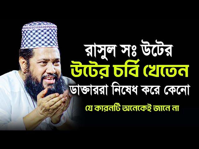 রাসুল সঃ উট এর চর্বি খেতেন কিন্তু ডাক্তাররা আমাদের নিষেধ করে! তারা খায় গরুর মুত আমরা খাই দুধ