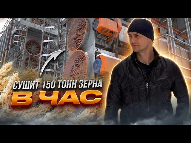 Сушка зерна | Зерносушилка STUURMAN | Отзыв спустя 5 лет