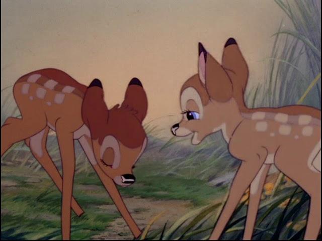 Bambi バンビとファリーン