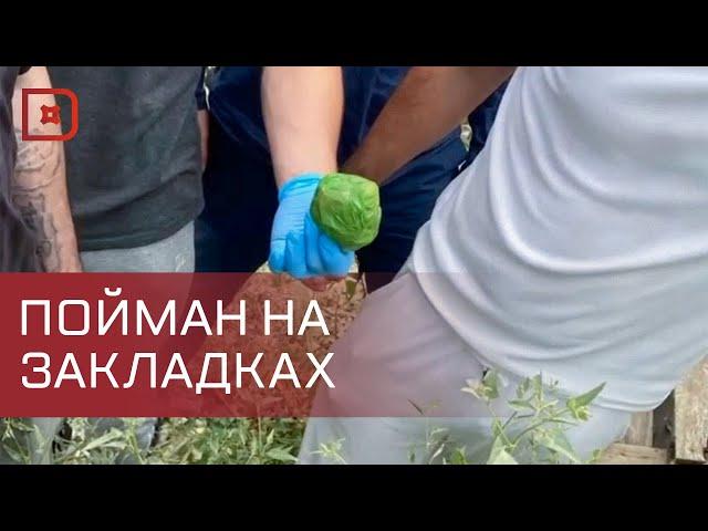 Житель Азербайджана задержан в Махачкале за размещение тайников с наркотиками