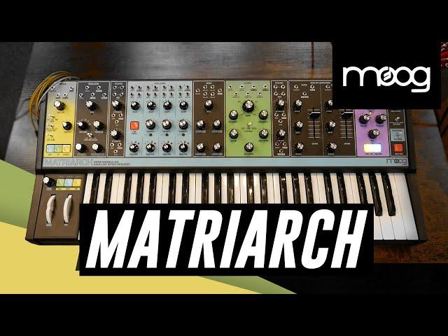 MOOG Matriarch Analog Synth! Demo