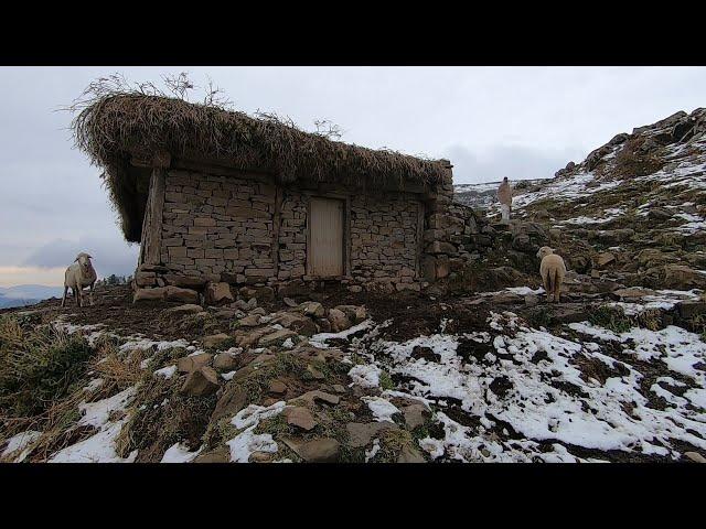 The life of bakarwal in the snow || sheep headers || village life bakarwal life