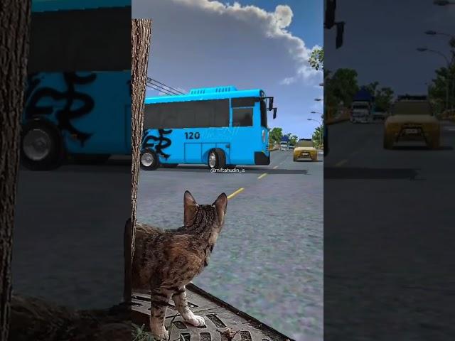 Kaget #kucinglucu #kucing #cat #bussimulatorindonesia #bussid