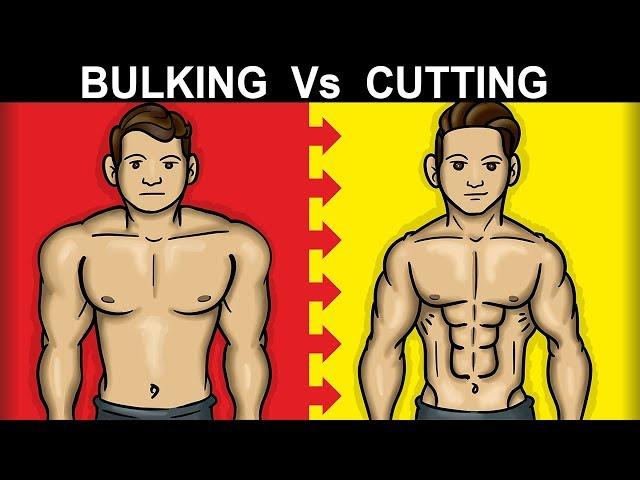 Should You BULK or CUT First (SKINNY FAT FIX)