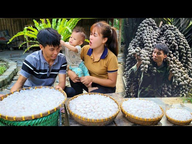 Exploiting Forest Fruits And Selling Them At The Market | Linh's Life