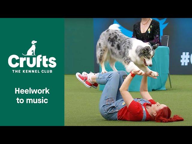 Freestyle International Heelwork to Music Competition - Part 3 | Crufts 2022