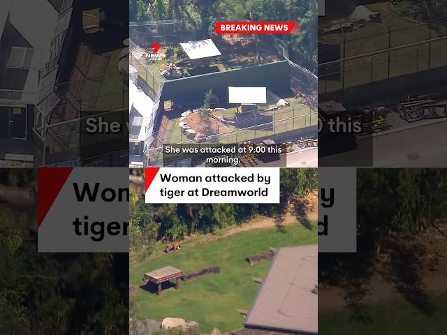 Tiger attack at Dreamworld