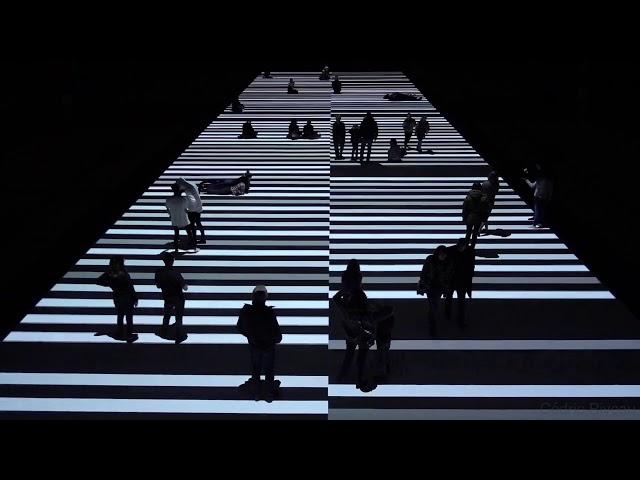 William Forsythe x Ryoji Ikeda