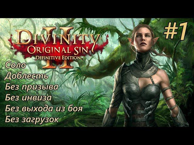 Прохождение Divinity: Original Sin 2 [DE]. Доблесть. Соло. Без инвиза, загрузок и выхода из боя #1