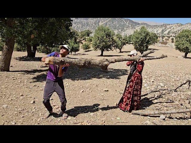 A young nomadic couple fights to build a canopy in the heart of nature