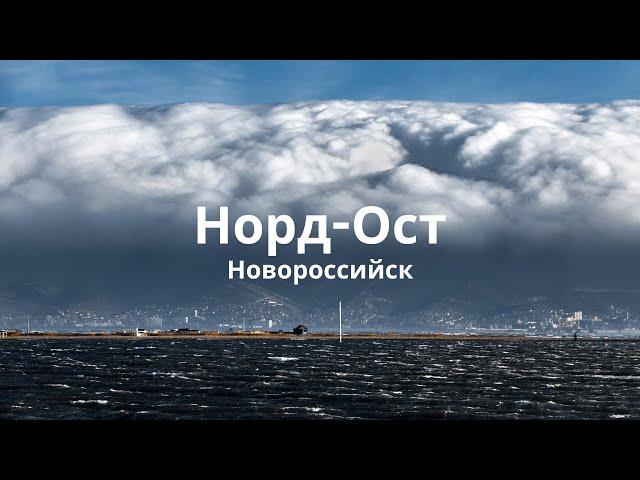 Новороссийский Норд-Ост