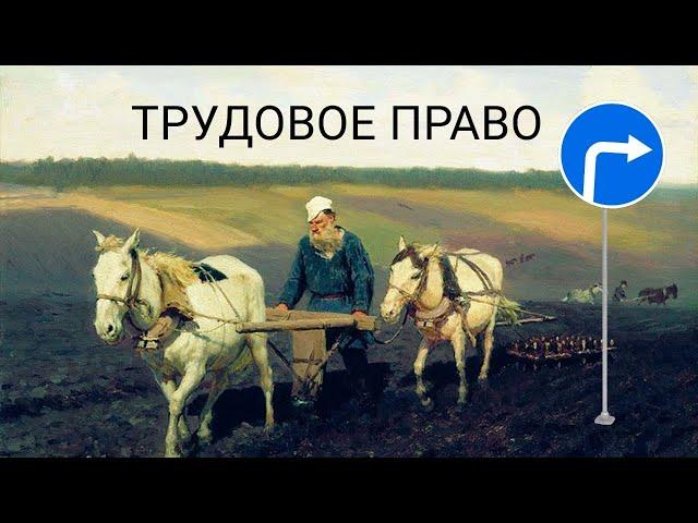 Трудовое право. Трудовые правоотношения. Трудовой договор. [Обществознание 10 класс]