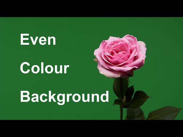 Flat colour background photography.