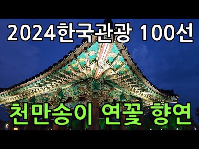 [부여여행]궁남지 야경(가자!보자!걷자!-4K)2024한국관광 100선