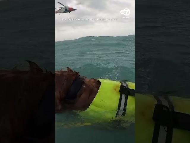 Man, his dog rescued from disabled boat 25 miles off FL coast as Hurricane Helene approached