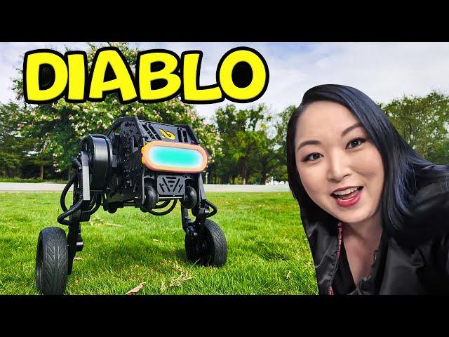 Self Balance robot Diablo Cymye