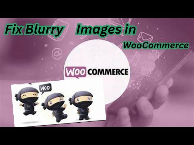 How To Fix Blurry Images in WooComerce WordPress