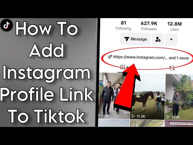 How To Add Clickable Instagram Link To Tiktok Profile(2025 New Update)