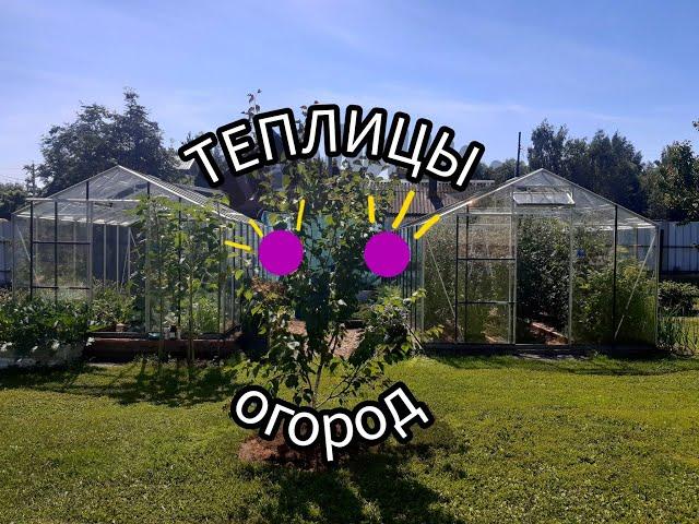 Обзор теплиц/ Что растёт/ Урожай:томаты, огурцы,перцы, баклажаны/ #деревня #огород #village #урожай