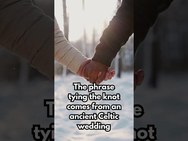 The phrase “tying the knot” comes from an ancient Celtic wedding tradition where the hands #shorts