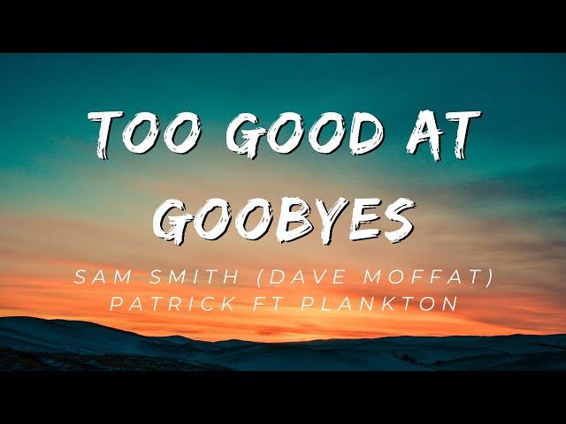 Patrick ft Plankton - Too good at goodbyes (Sam Smith) (Dave Moffat Cover)