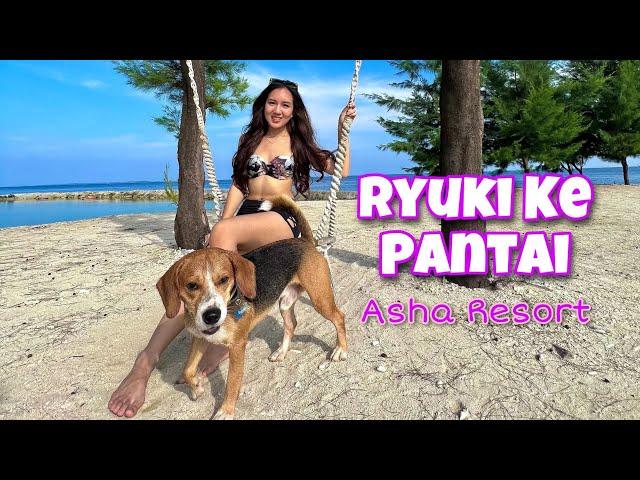 AJAK ANABUL KE PULAU PET FRIENDLY!! | Spill Budget ke ASHA RESORT PULAU SERIBU