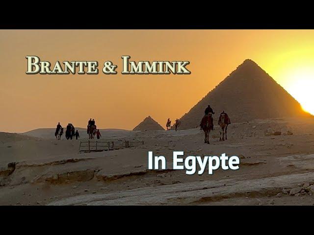 Brante & Immink veroveren Egypte