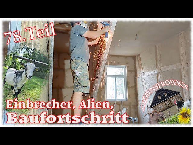 Einbrecher, Alien, Baufortschritt - #78 Projekt Fachwerkhaus